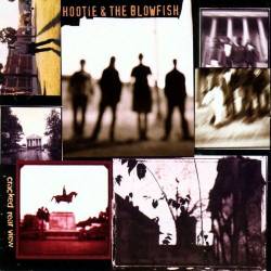 Hootie And The Blowfish : Cracked Rear View